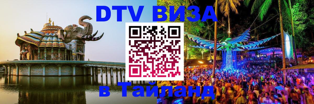 Оформление DTV визы под ключ: стоимость и тарифы, только загранпаспорт - 